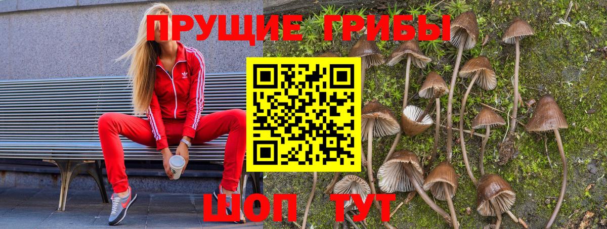 Галлюциногенные грибы мухоморы  Вход с VPN  Домодедово  Псилоцибиновые грибы Psilocybe 