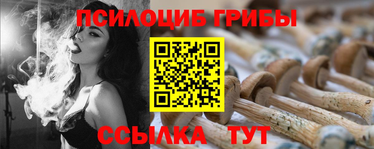 Псилоцибиновые грибы мицелий Домодедово